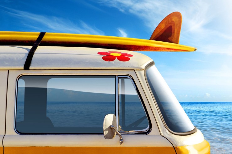 immagine tratta da internet