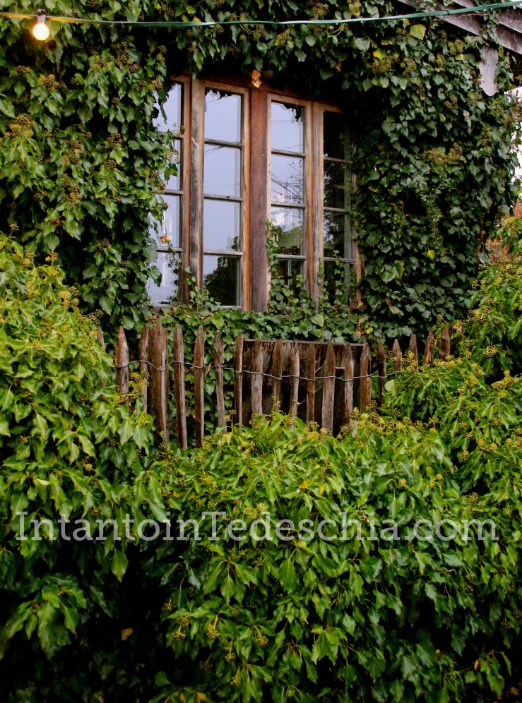 Fraueninsel Isola Natale Baviera