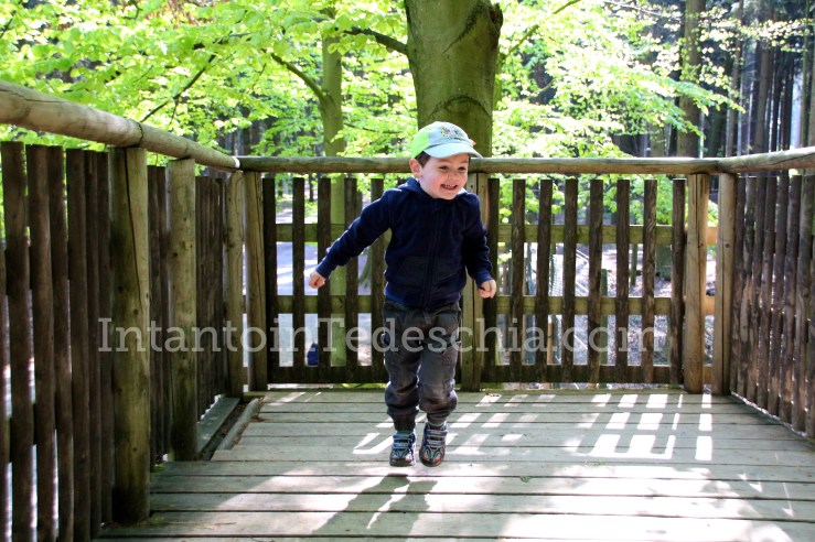 Poing Wildpark Baviera Germania