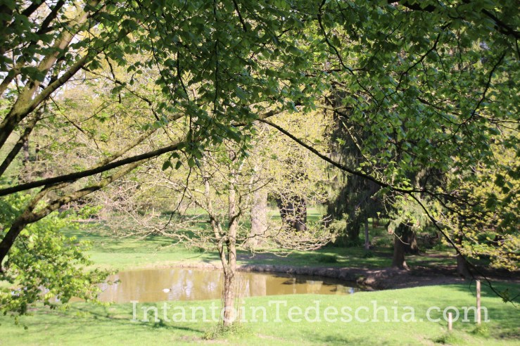 Poing Wildpark Baviera Germania