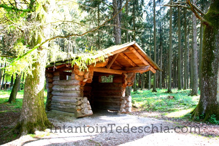 Poing Wildpark Baviera Germania