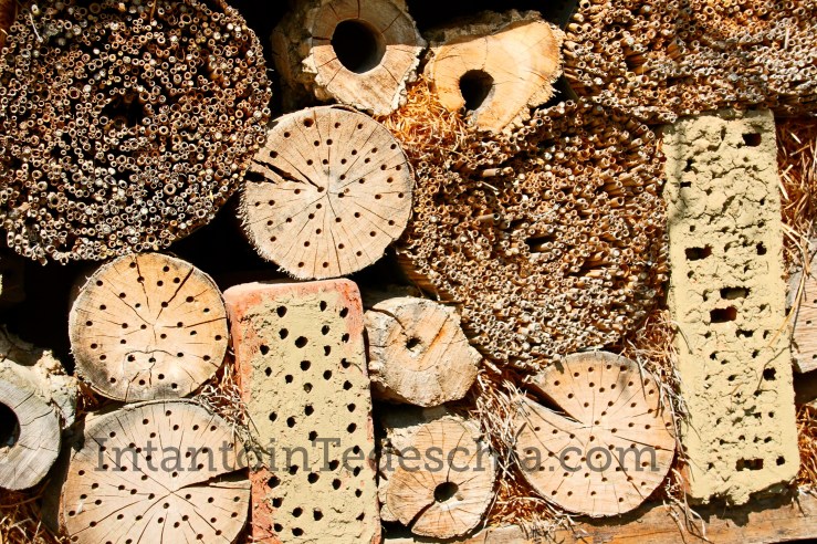 Poing Wildpark Baviera Germania