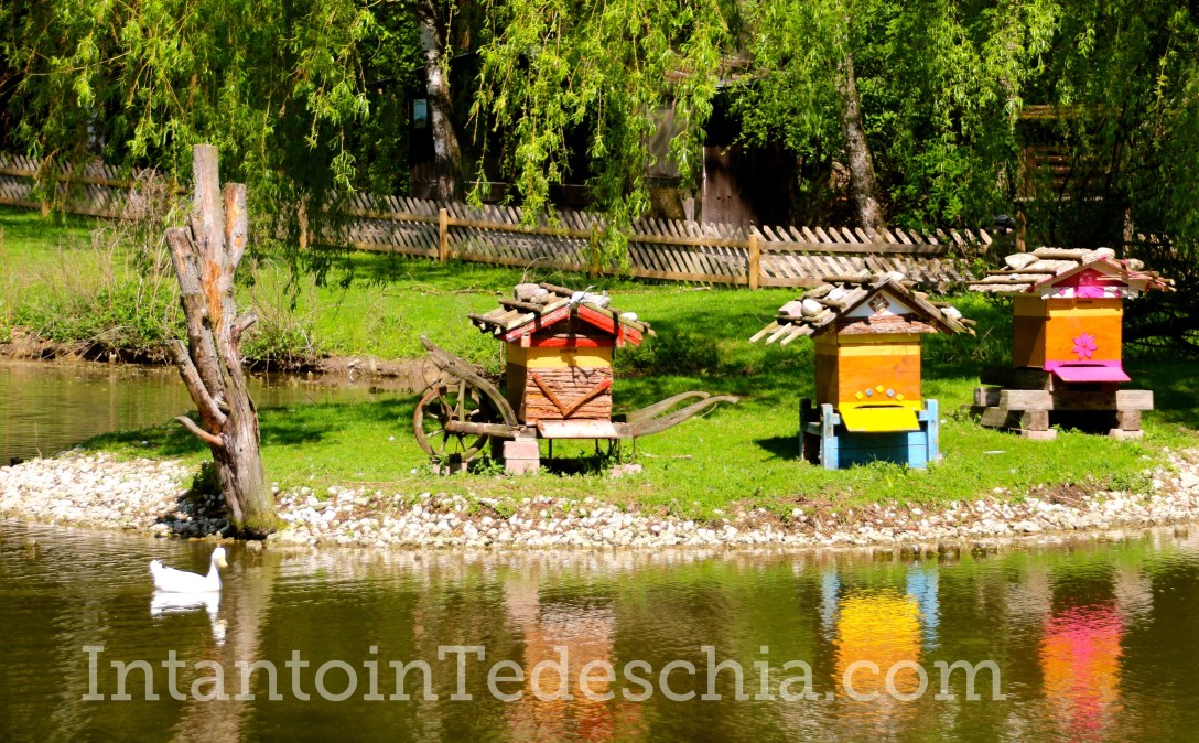 Poing Wildpark Baviera Germania