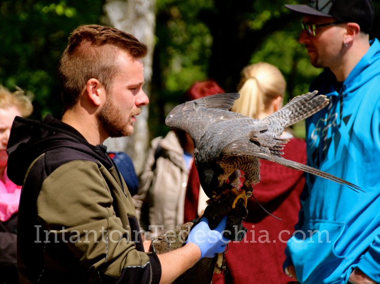 Poing Wildpark Baviera Germania