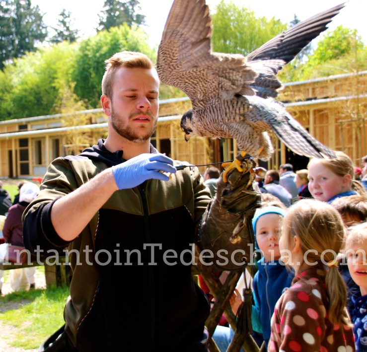 Poing Wildpark Baviera Germania