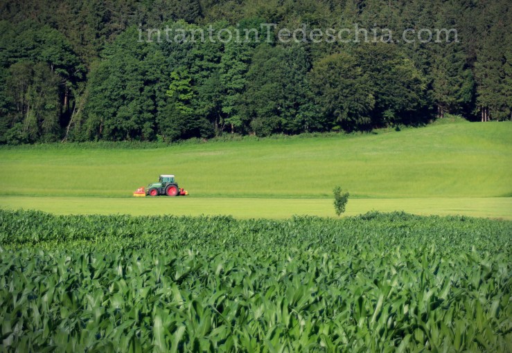 Baviera Campagna Sud Trattore