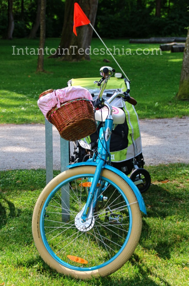bicicletta parco cestino