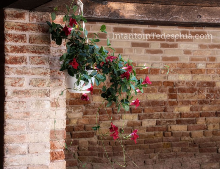 chiostro san francesco