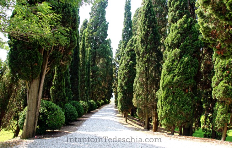 isola del deserto san francesco venezia