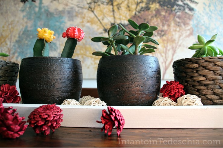 decorazioni autunno piante casa