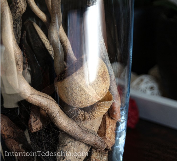 vaso decorazioni autunno