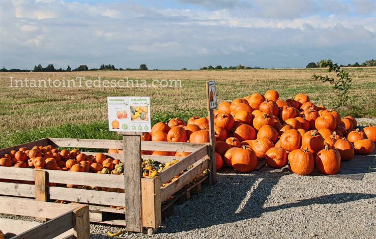 negozio sole baviera campagna