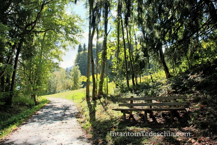 Tegernsee Alpi bavaresi