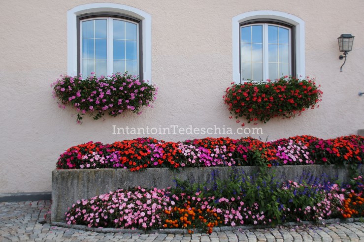 Tegernsee Alpi bavaresi