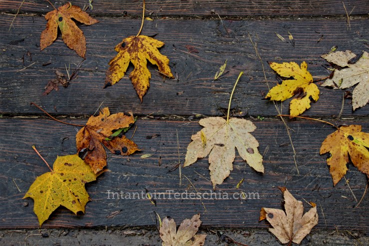 Tegernsee Alpi bavaresi