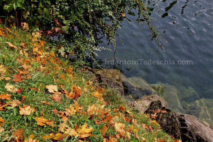 Tegernsee Alpi bavaresi