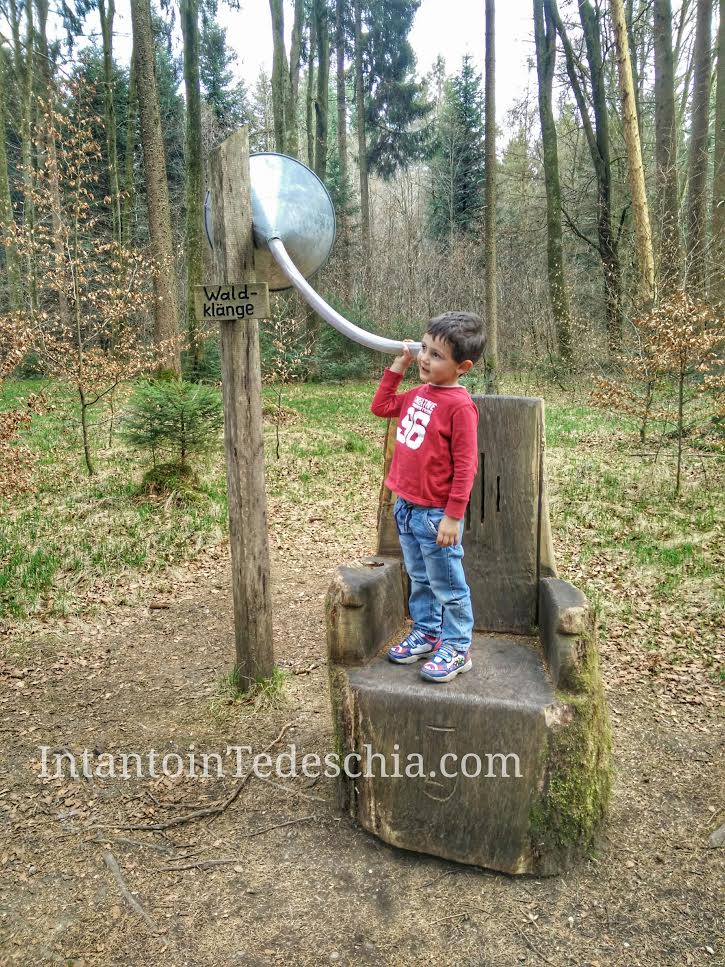 Foresta Baviera Boschi Tempo Libero Germania