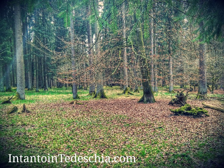 IMG_20170401_153145-01