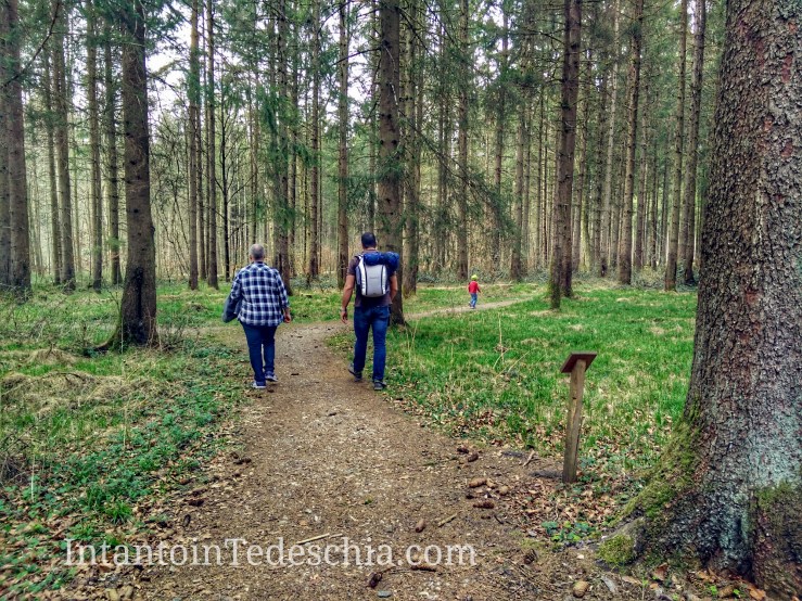 IMG_20170401_163645-01