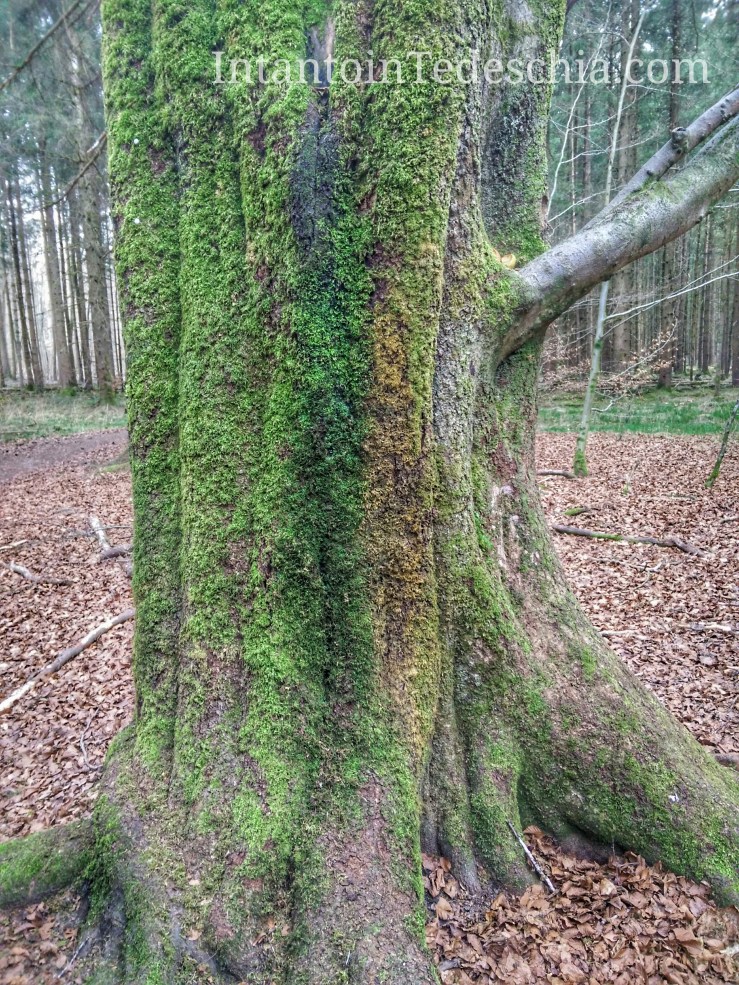 IMG_20170401_170056-01