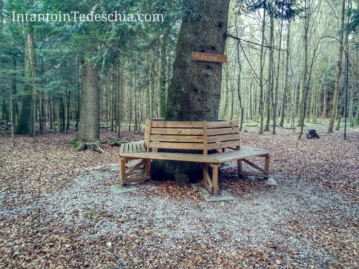 IMG_20170401_170301-01