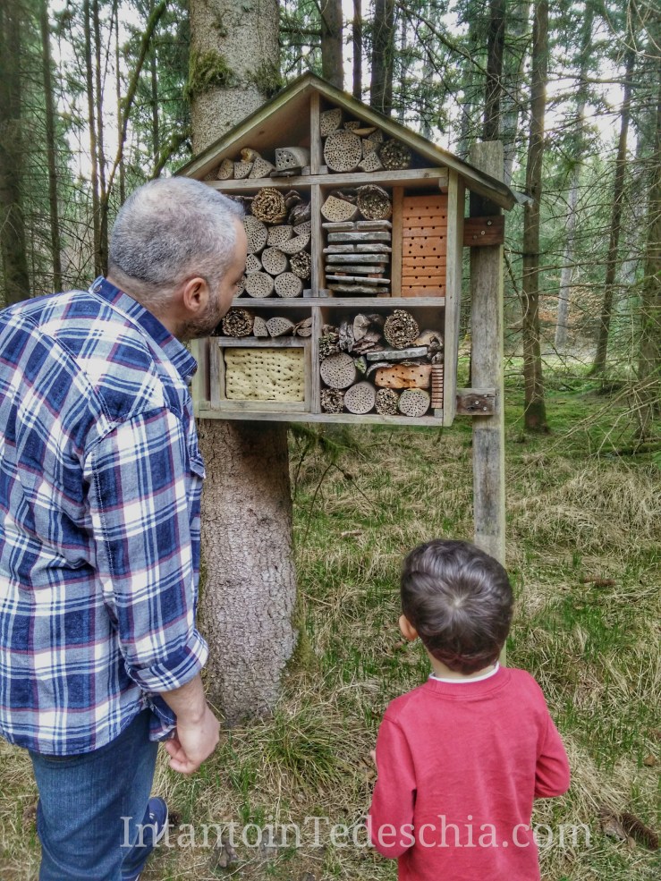 IMG_20170401_173233-01