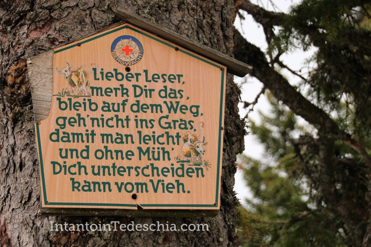 Baviera Turismo Alpi Bavaresi Camminare Montagna Herzogstand Walchensee