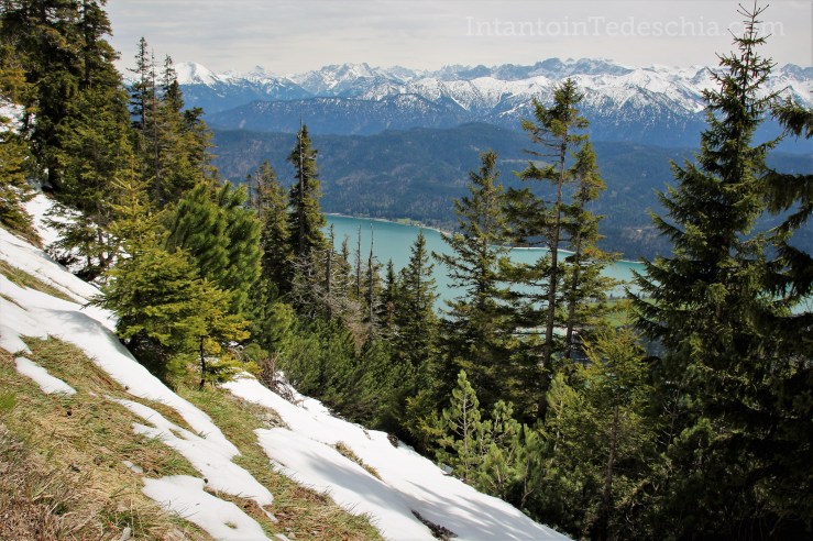 Baviera Turismo Alpi Bavaresi Camminare Montagna Herzogstand Walchensee