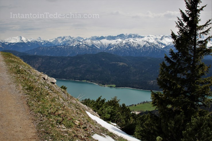 Baviera Turismo Alpi Bavaresi Camminare Montagna Herzogstand Walchensee
