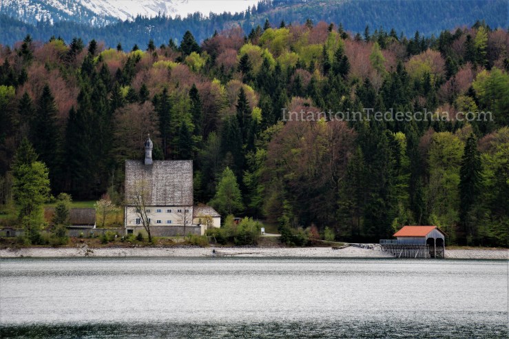 Baviera Turismo Alpi Bavaresi Camminare Montagna Herzogstand Walchensee
