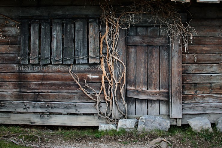 Baviera Turismo Alpi Bavaresi Camminare Montagna Herzogstand Walchensee
