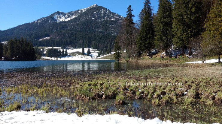 Spitzingsee Baviera Turismo Montagna Lago Camminate