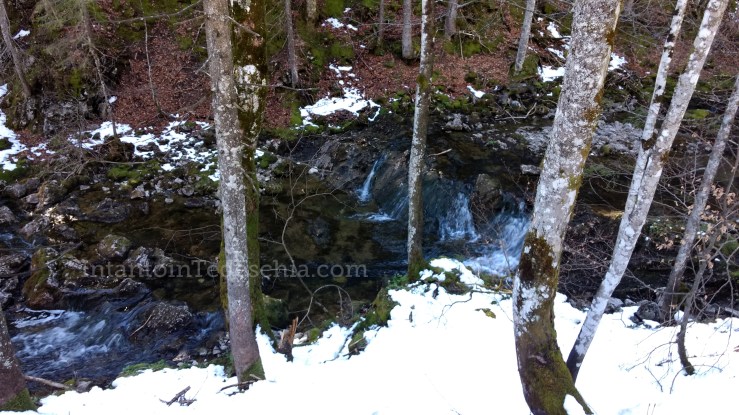 Spitzingsee Baviera Turismo Montagna Lago Camminate