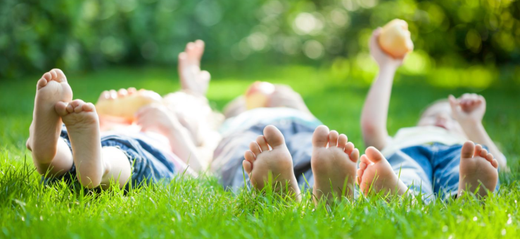 immagine tratta da internet