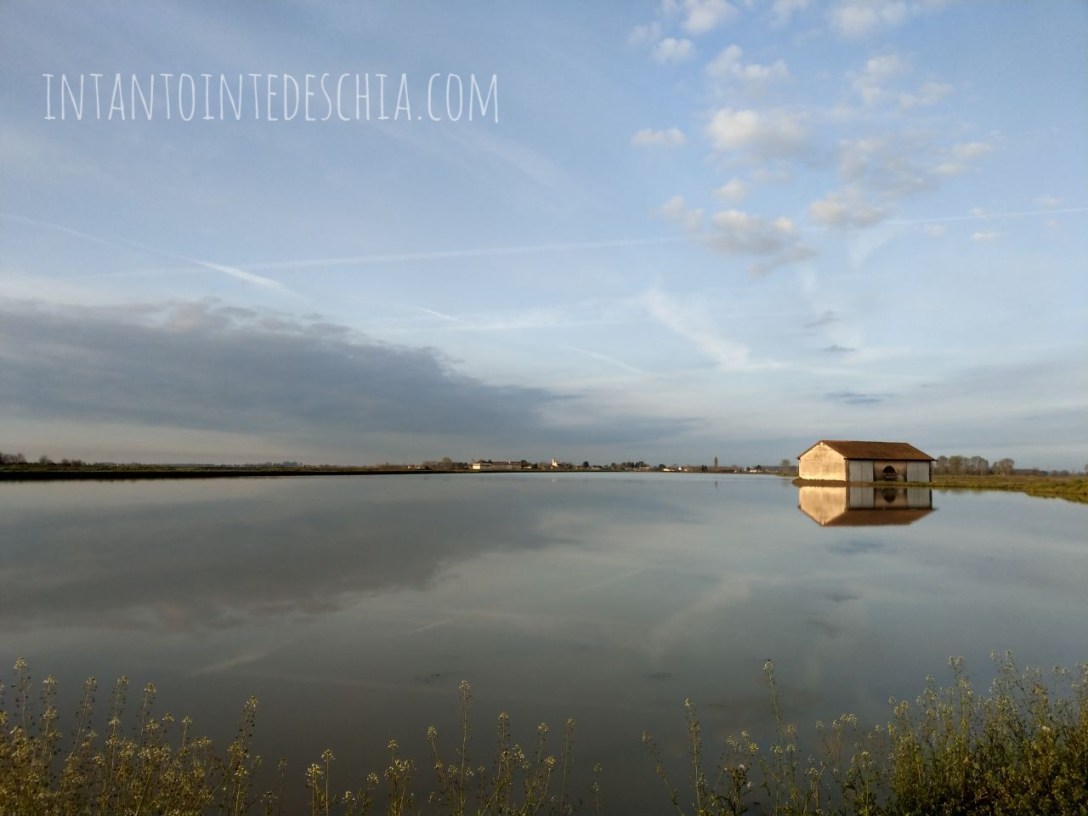 campagna novara blogger expat