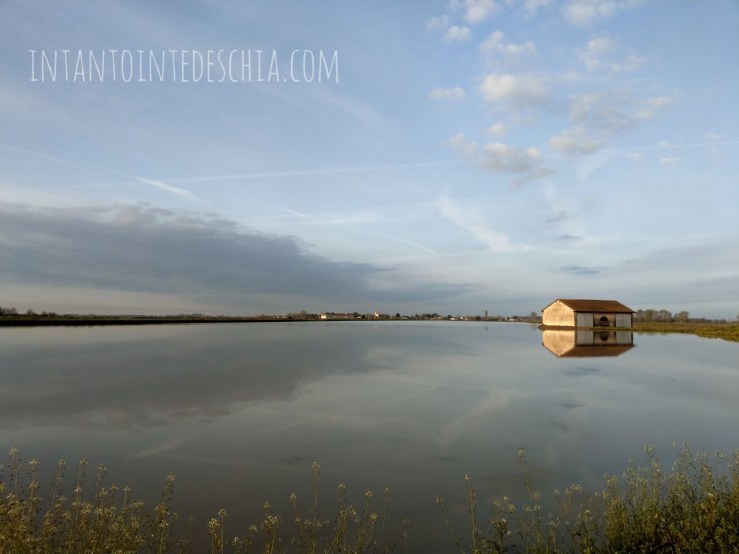 campagna novara blogger expat