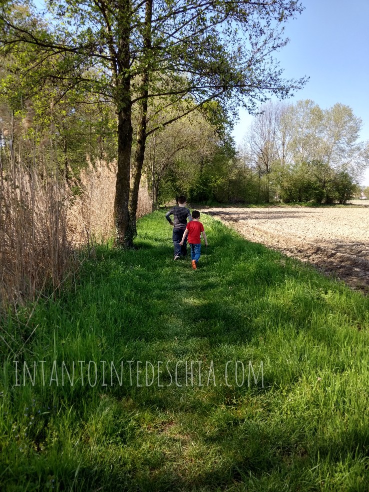novara campagna parco della ghina blogger