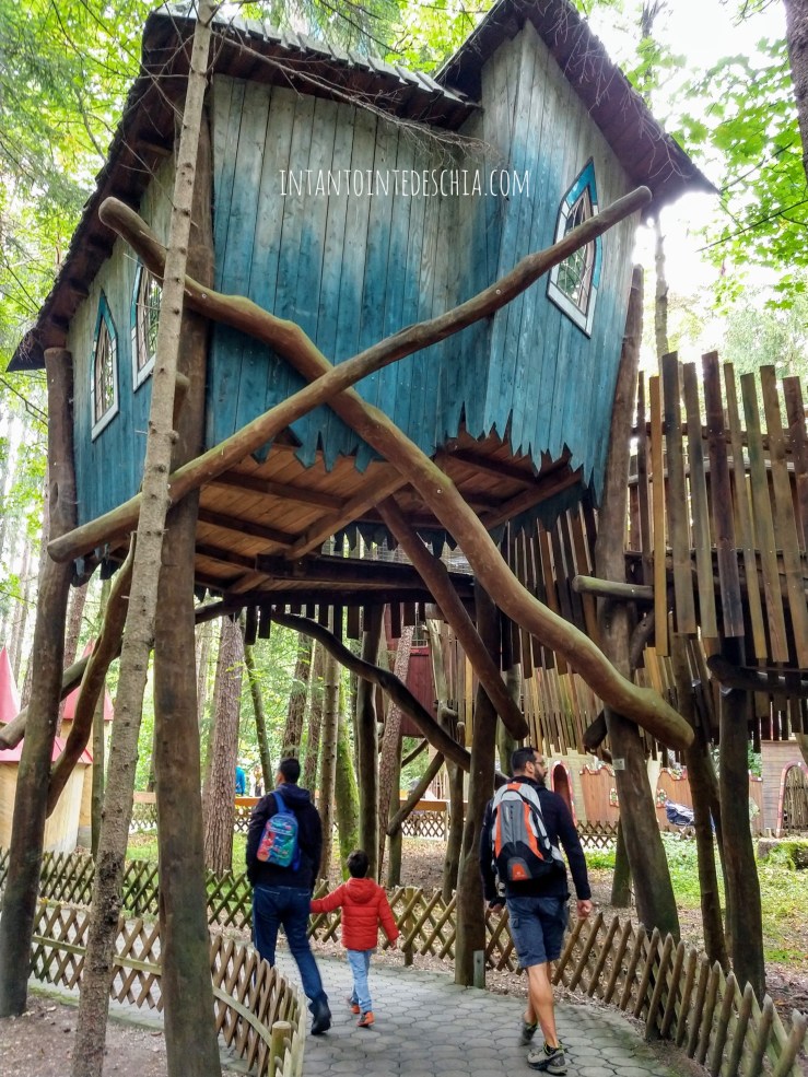 IMG_20190922_115333055_HDR-01