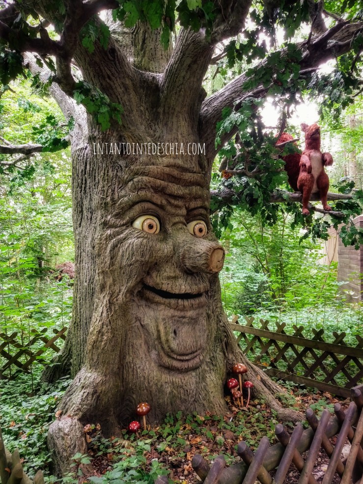 IMG_20190922_115557288_HDR-01