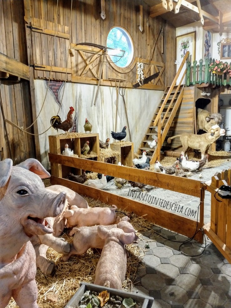 IMG_20190922_124853666_HDR-01