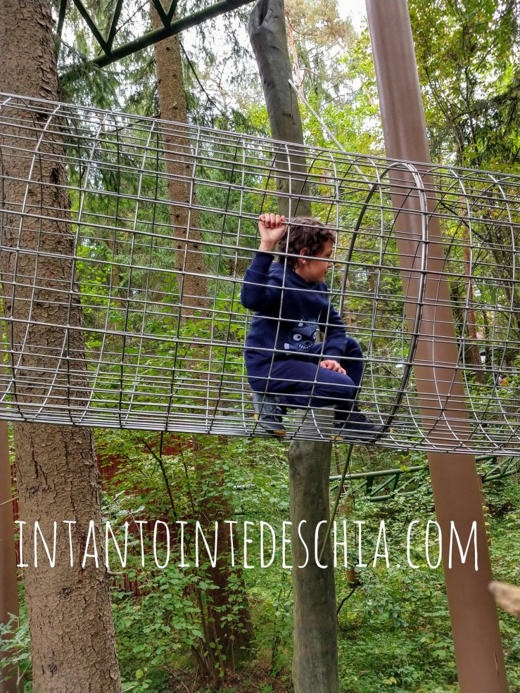 IMG_20190922_125926364_HDR-01